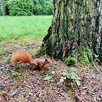 Na Klenici 4* Mladá Boleslav