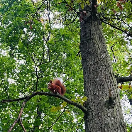 Na Klenici Aparthotel Mladá Boleslav
